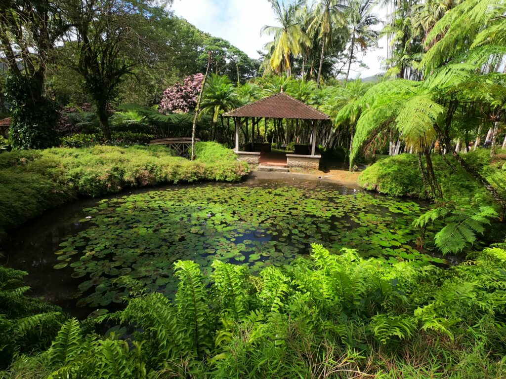 Jardin de Balata