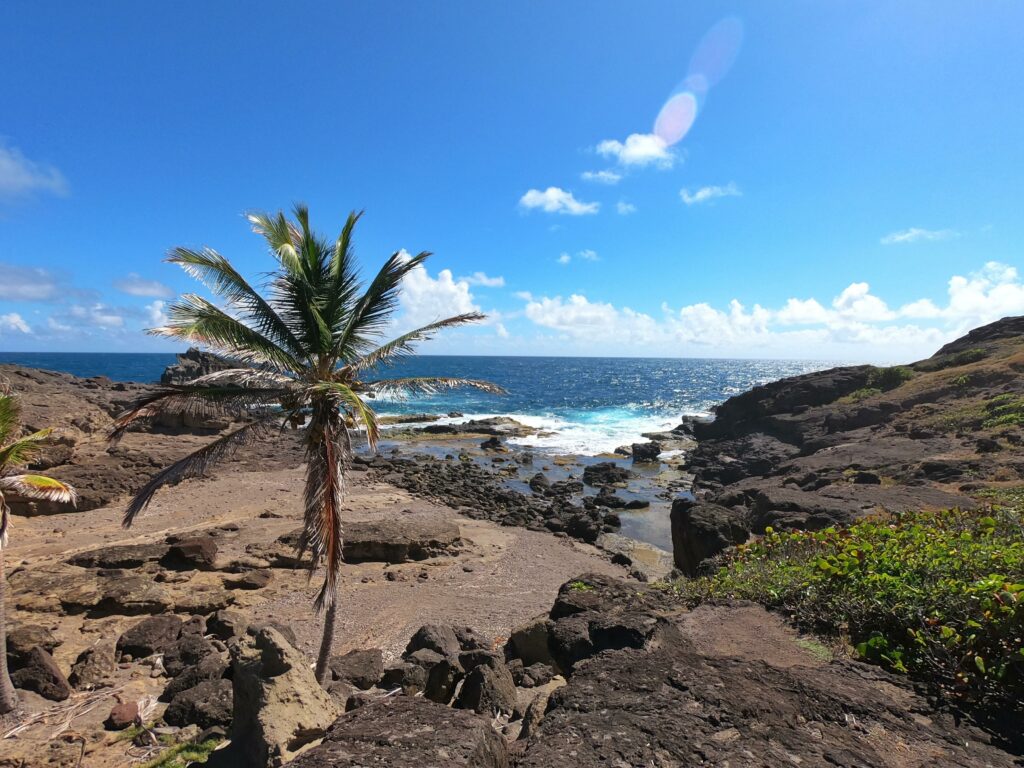 Randonnée Presqu'île de la Caravelle