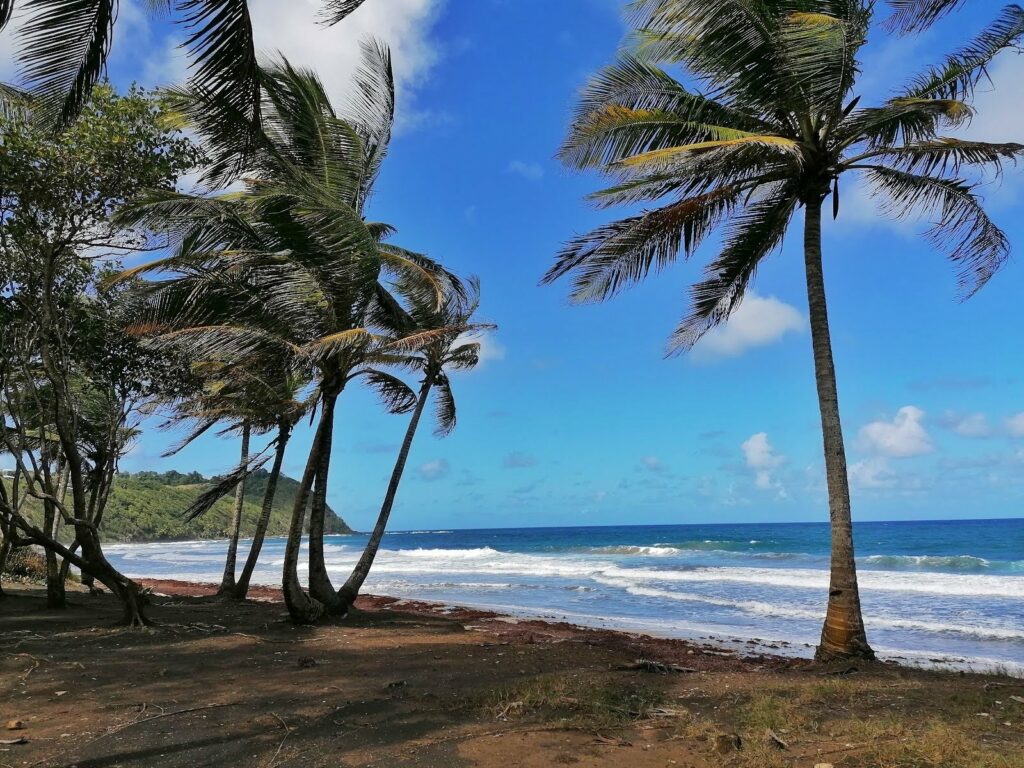 Anse Charpentier