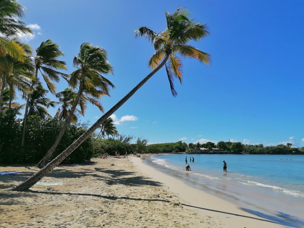 Anse des Salines Martinique