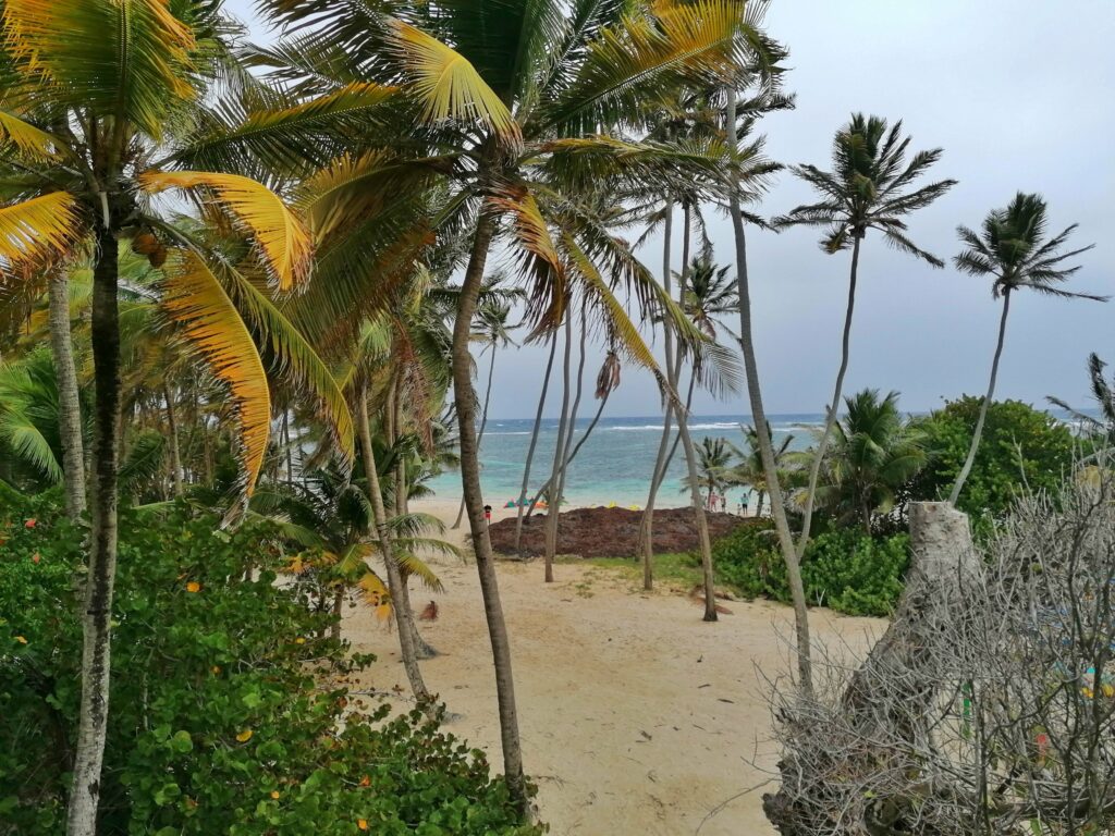 Anse Michel Martinique