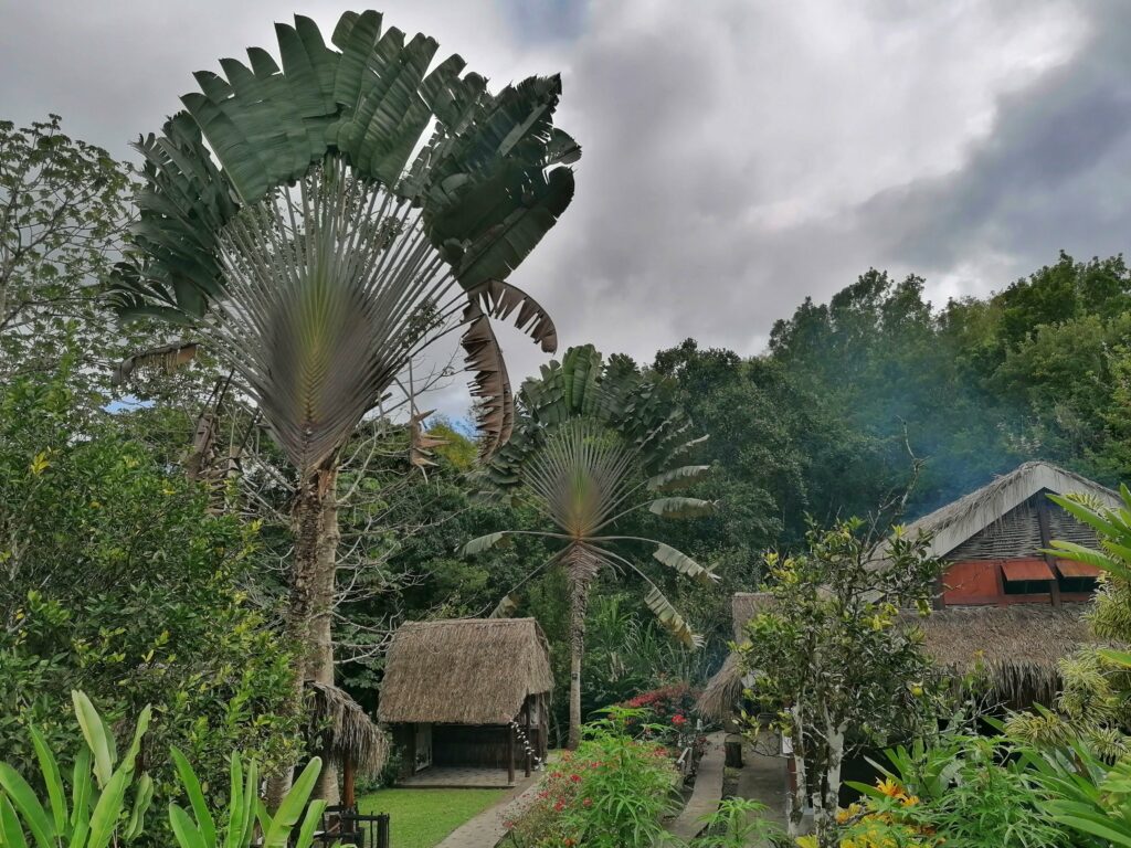 Savane des esclaves Martinique