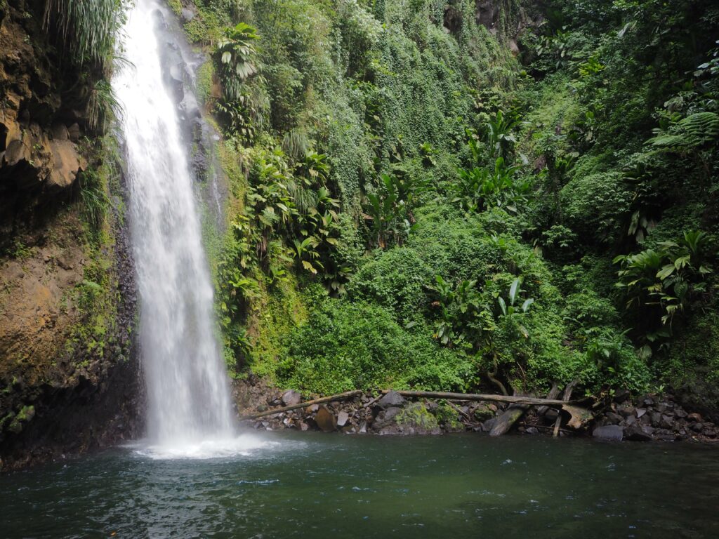 Cascade Didier Martinique