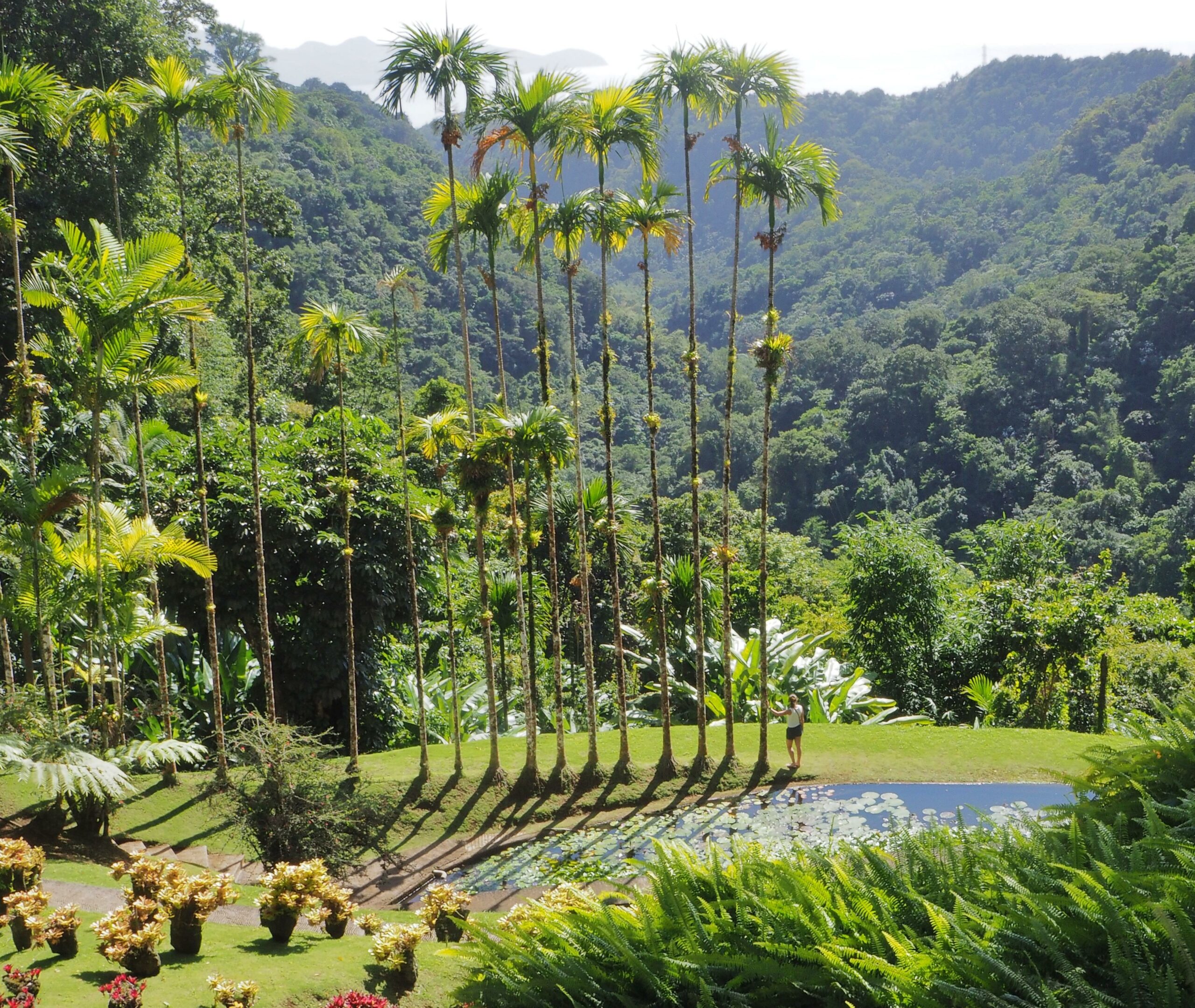 Jardin de Balata Martinique