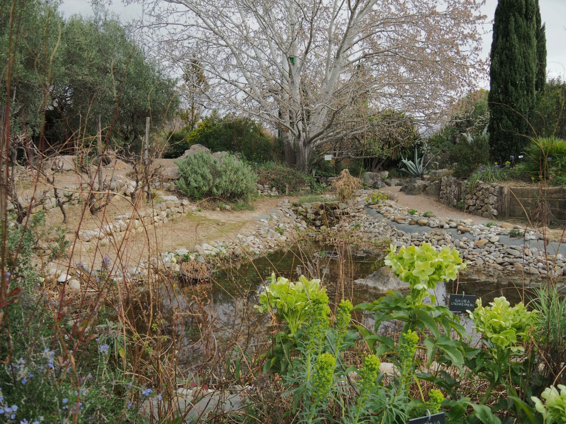 Parc Borély