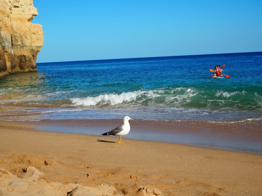 Plage Benagil