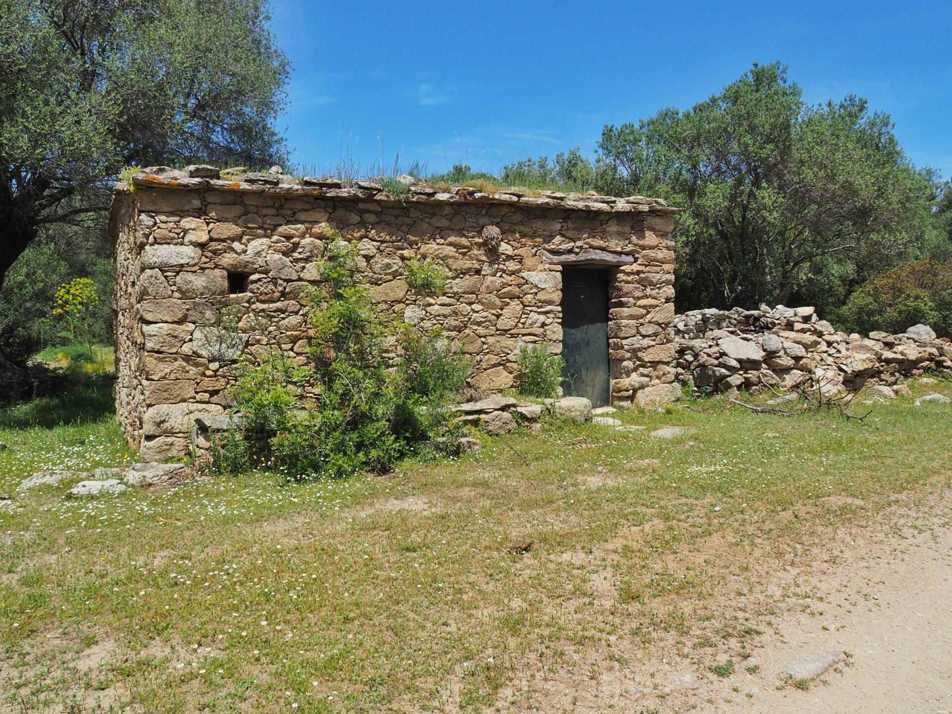 Désert des Agriates Corse