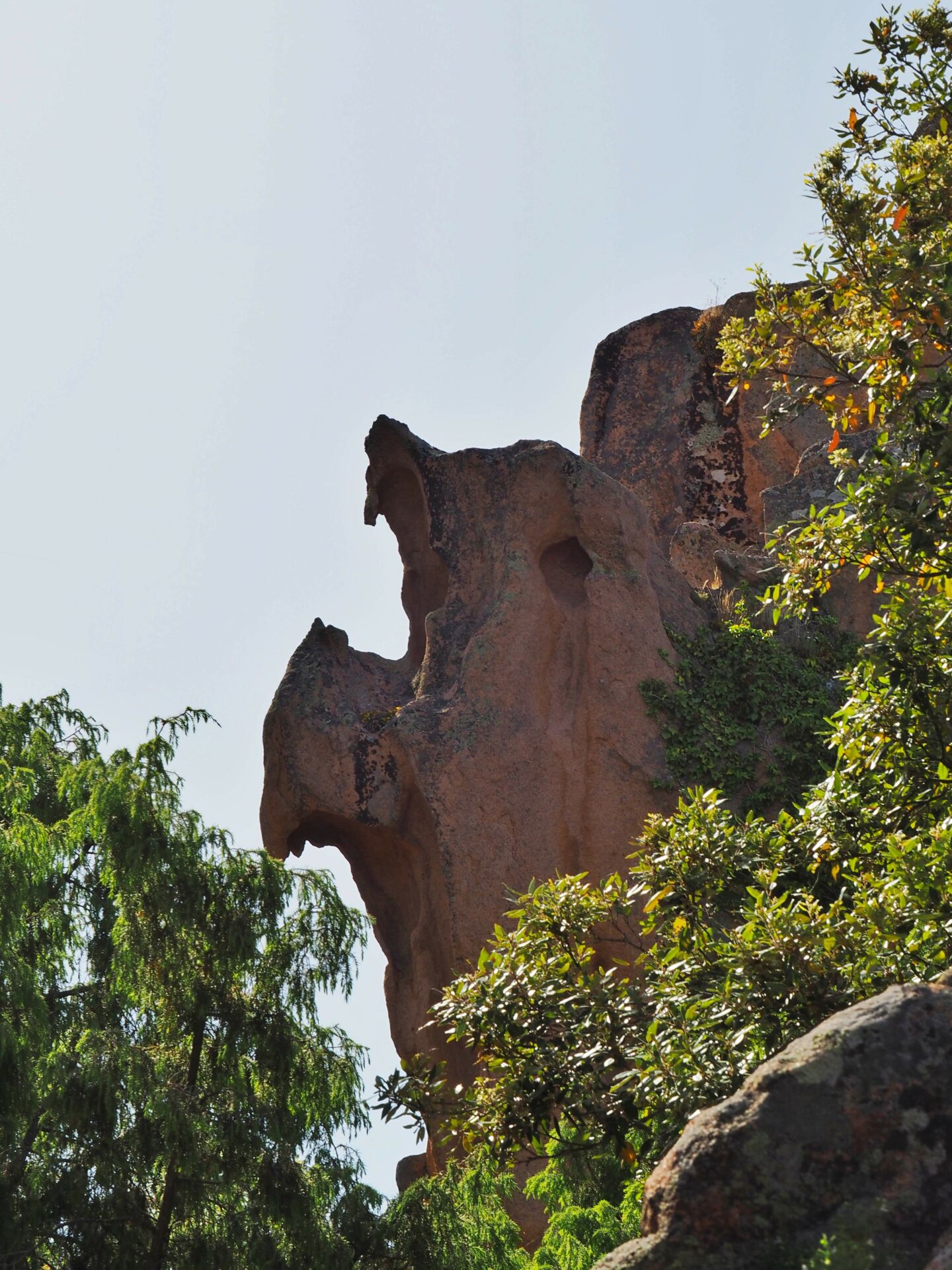 Randonnée de la tête de chien Corse