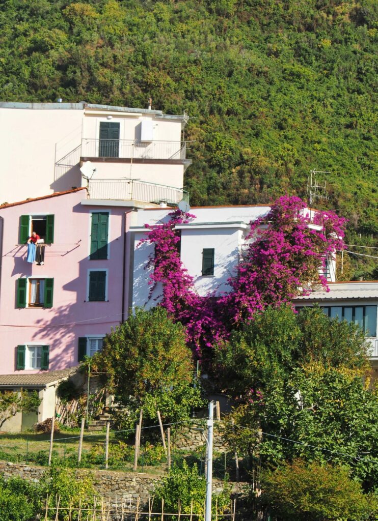 Corniglia Cinque Terre