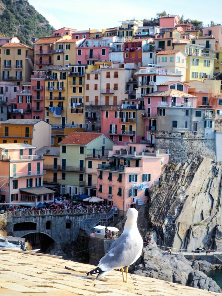 Manarola Cinque Terre