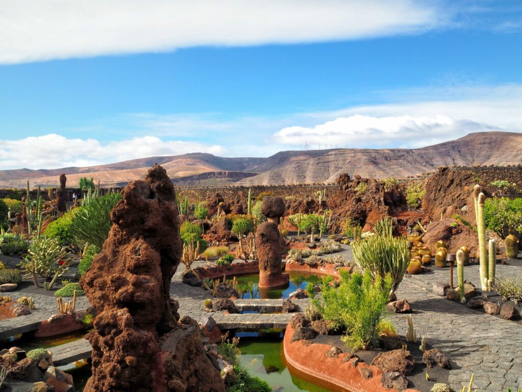 Jardin de cactus Lanzarote