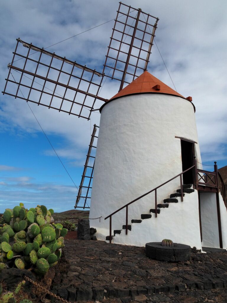 Jardin de cactus Lanzarote