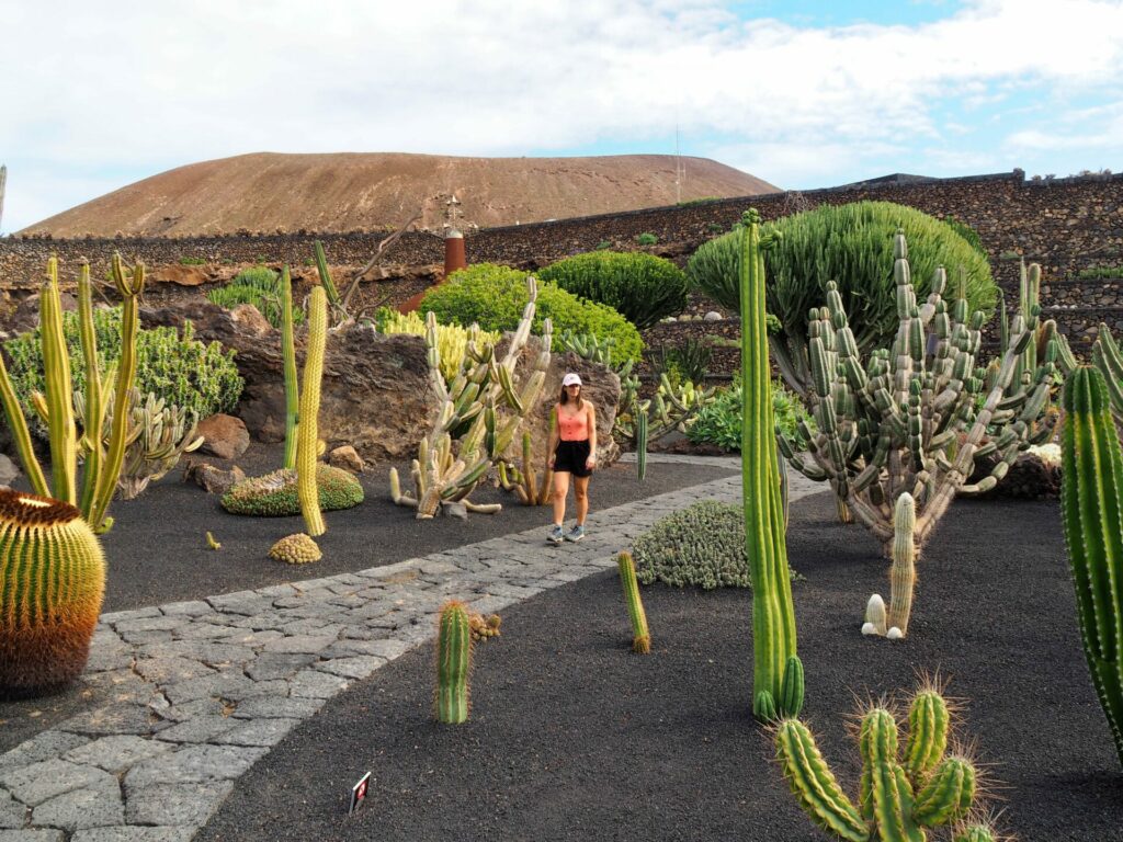 Jardin de cactus Lanzarote