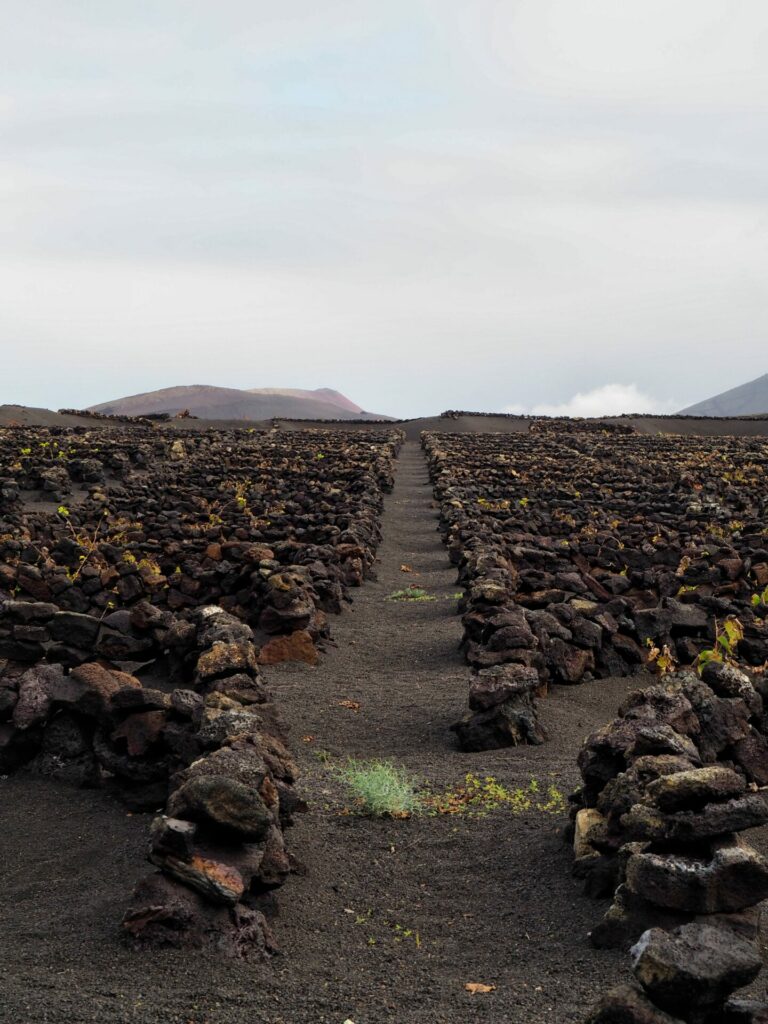 La Geria Lanzarote