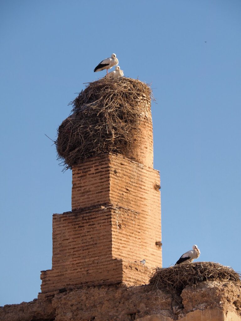 Palais el Badi Marrakech