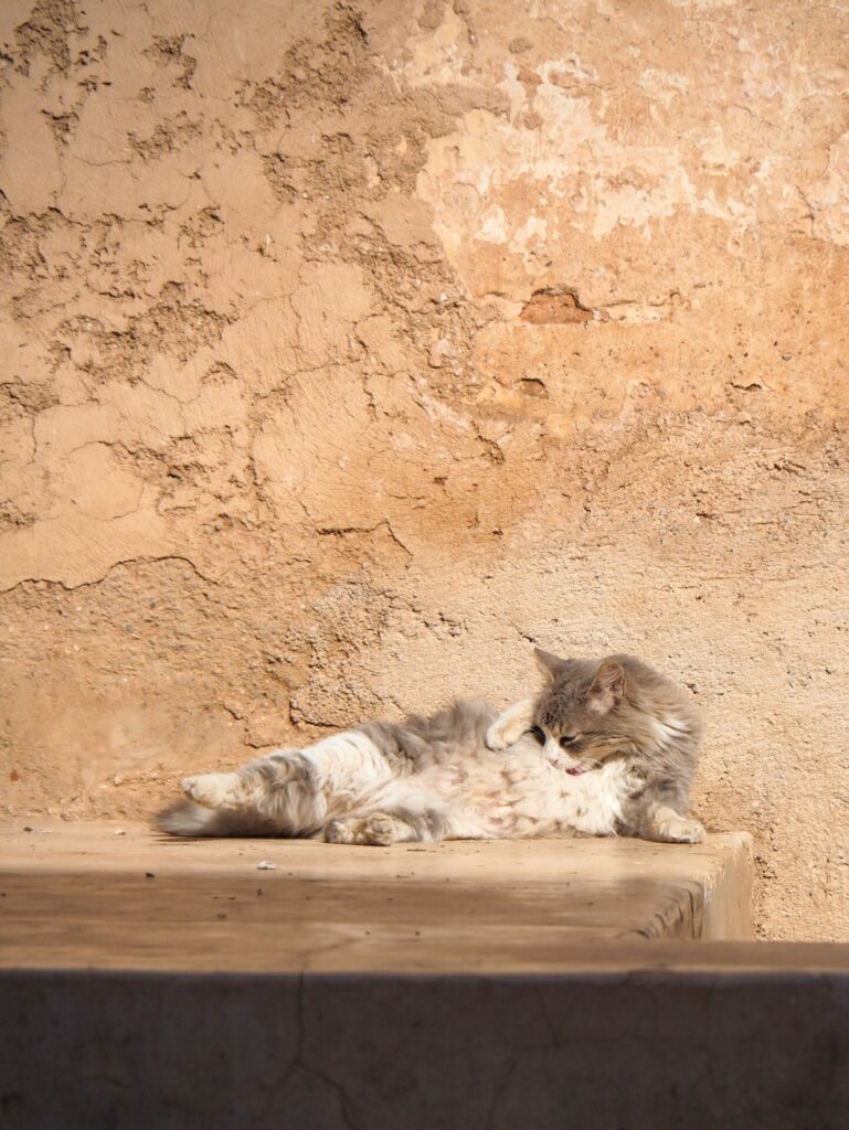 Palais el Badi Marrakech