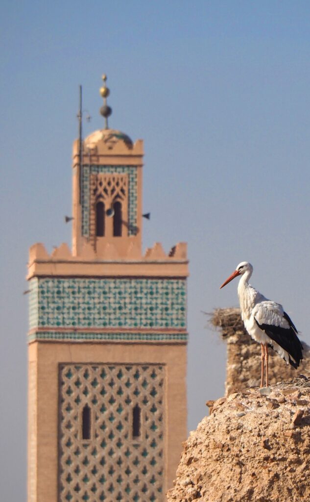 Palais el Badi Marrakech