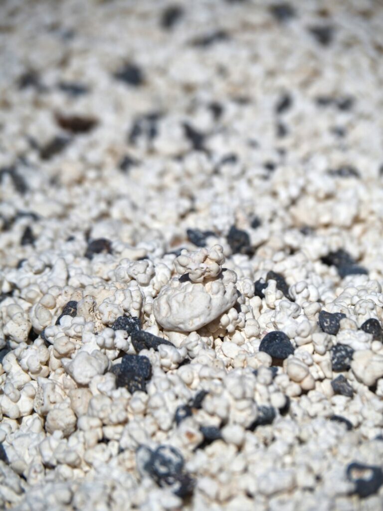 Pop corn beach Fuerteventura