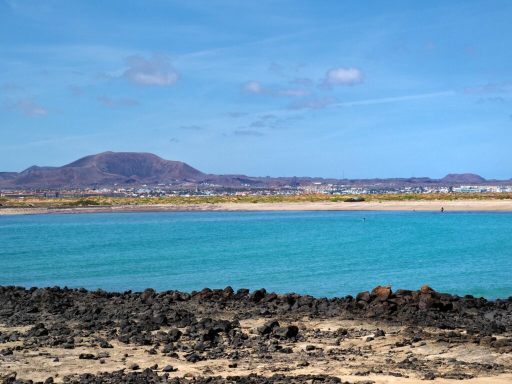 Lobos Fuerteventura