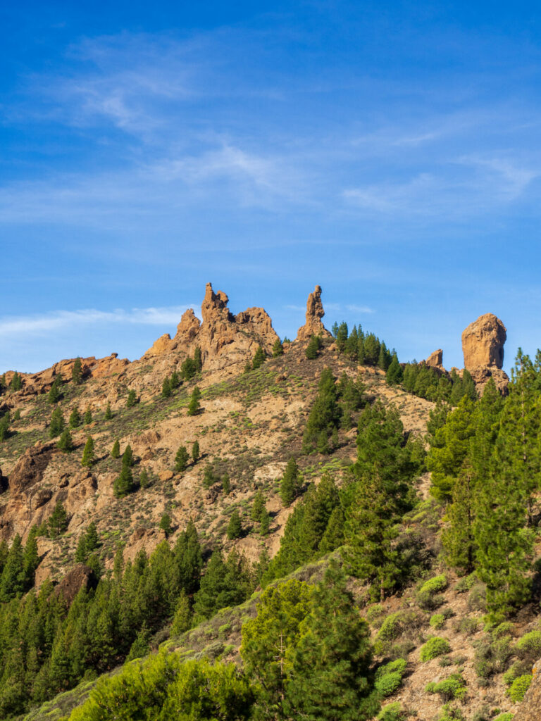 Roque Nublo