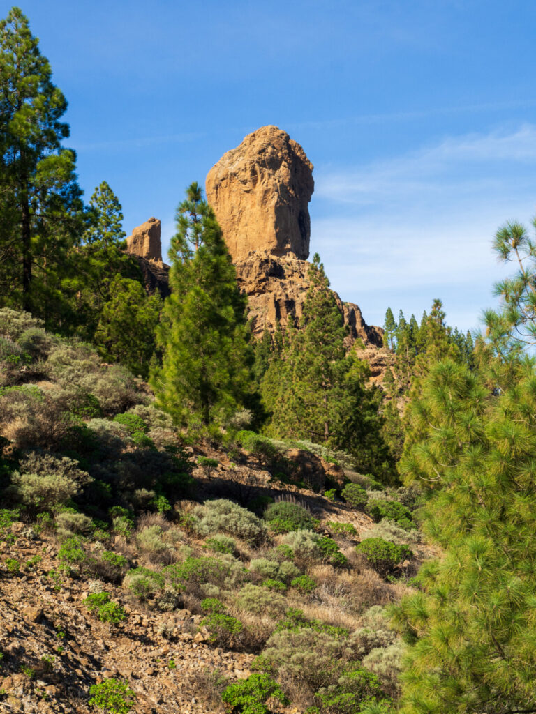 Roque Nublo