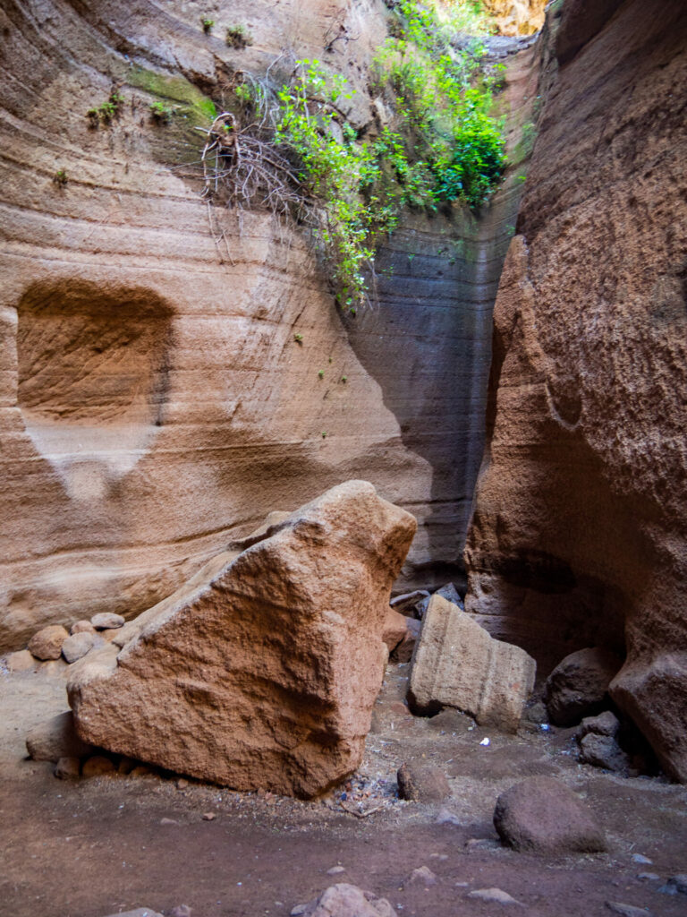 Barranco de la Vacas