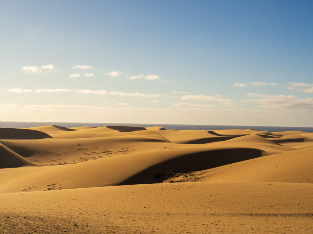 Dunes de Maspalomas Gran Canaria